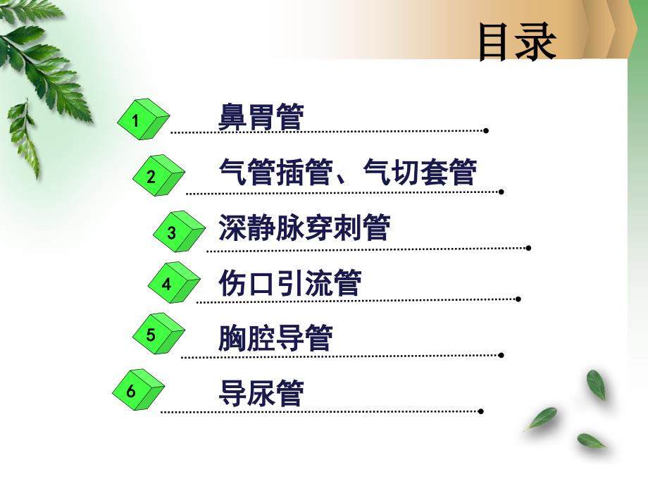 各类导管的护理111ppt课件_第2页