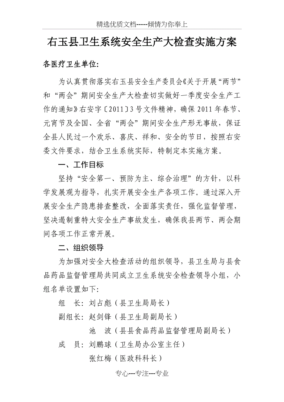 卫生系统安全生产大检查实施方案_第1页