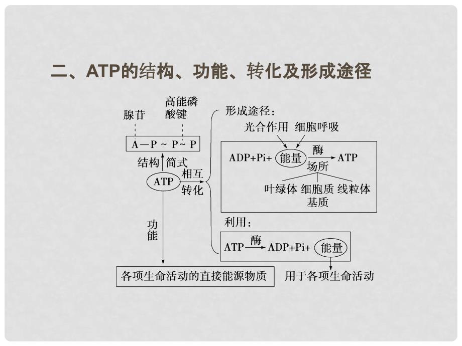 高考生物二轮复习 第三部分 考前第14天酶与ATP课件_第3页