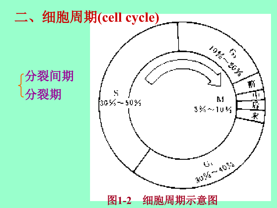 医学课件第一动物体的基本结构与机能_第2页