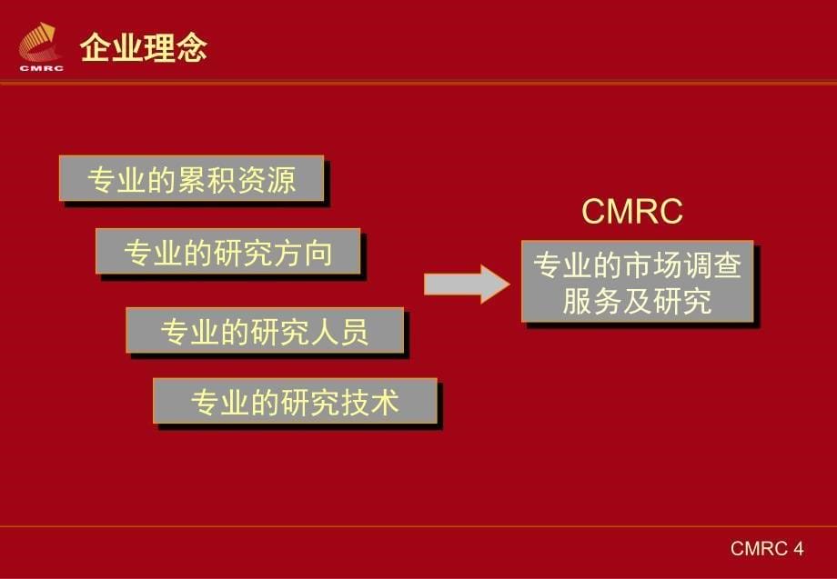 中国市场调查研究中心-洗涤用品市场调查与研究（ 34页）_第5页