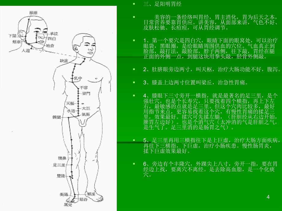 穴位详解ppt课件_第4页