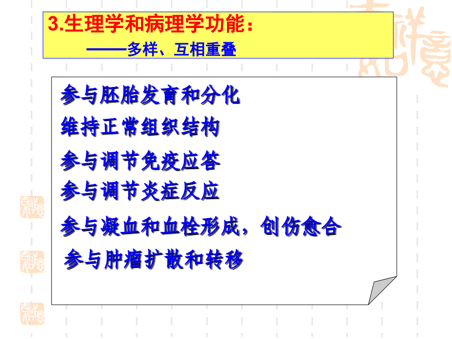 细胞粘附因子课件_第4页