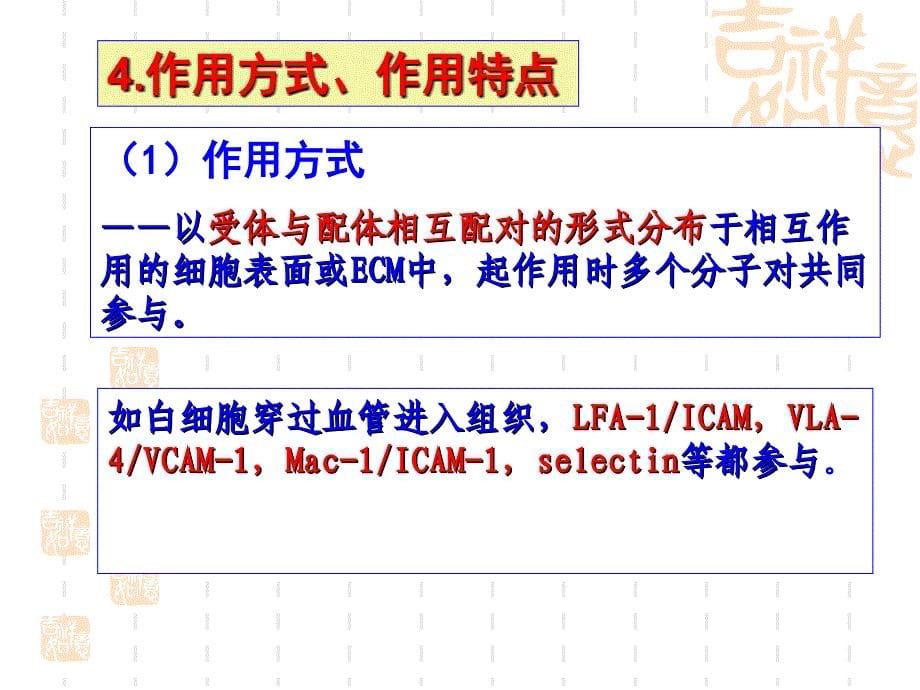 细胞粘附因子课件_第5页