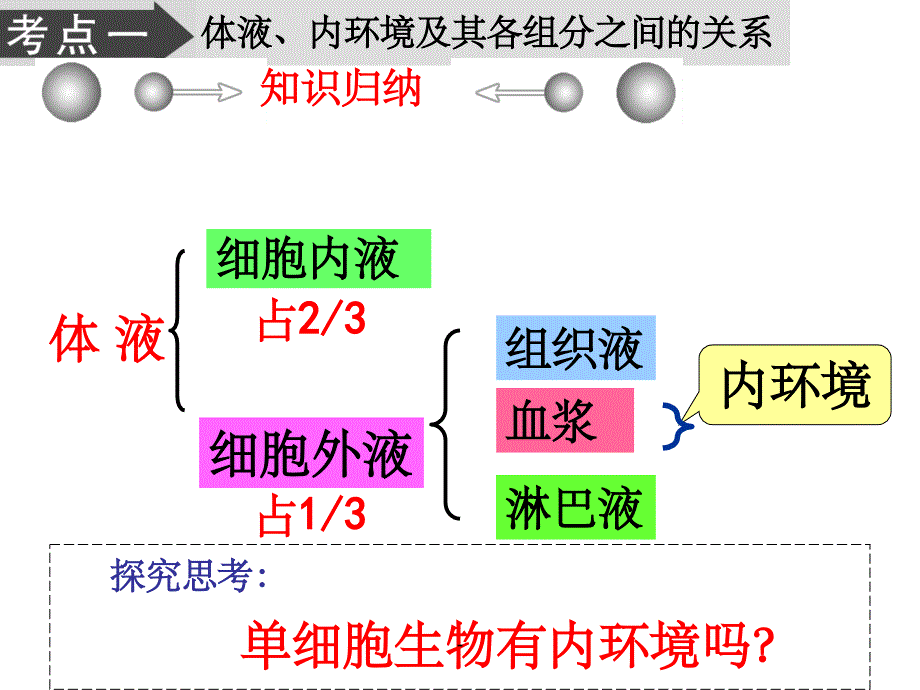 一轮生物必修三第一章复习课件ppt_第3页