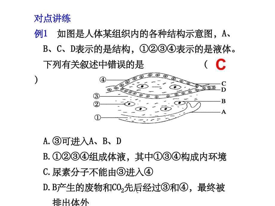 一轮生物必修三第一章复习课件ppt_第5页