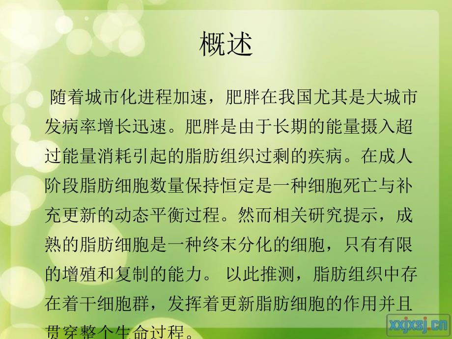 脂肪干细胞的临床应用课件_第3页