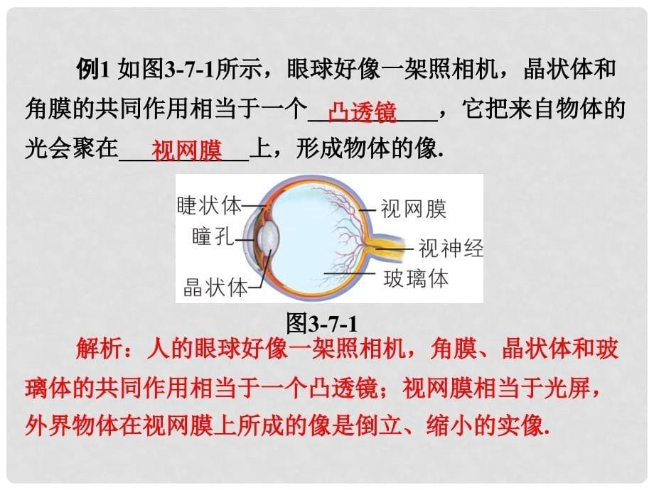 八年级物理上册 3.7《眼睛和光学仪器》课件 （新版）粤教沪版_第5页