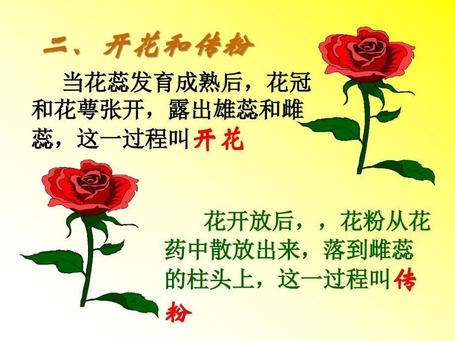 绿色开花植物的有性生殖.ppt_第5页