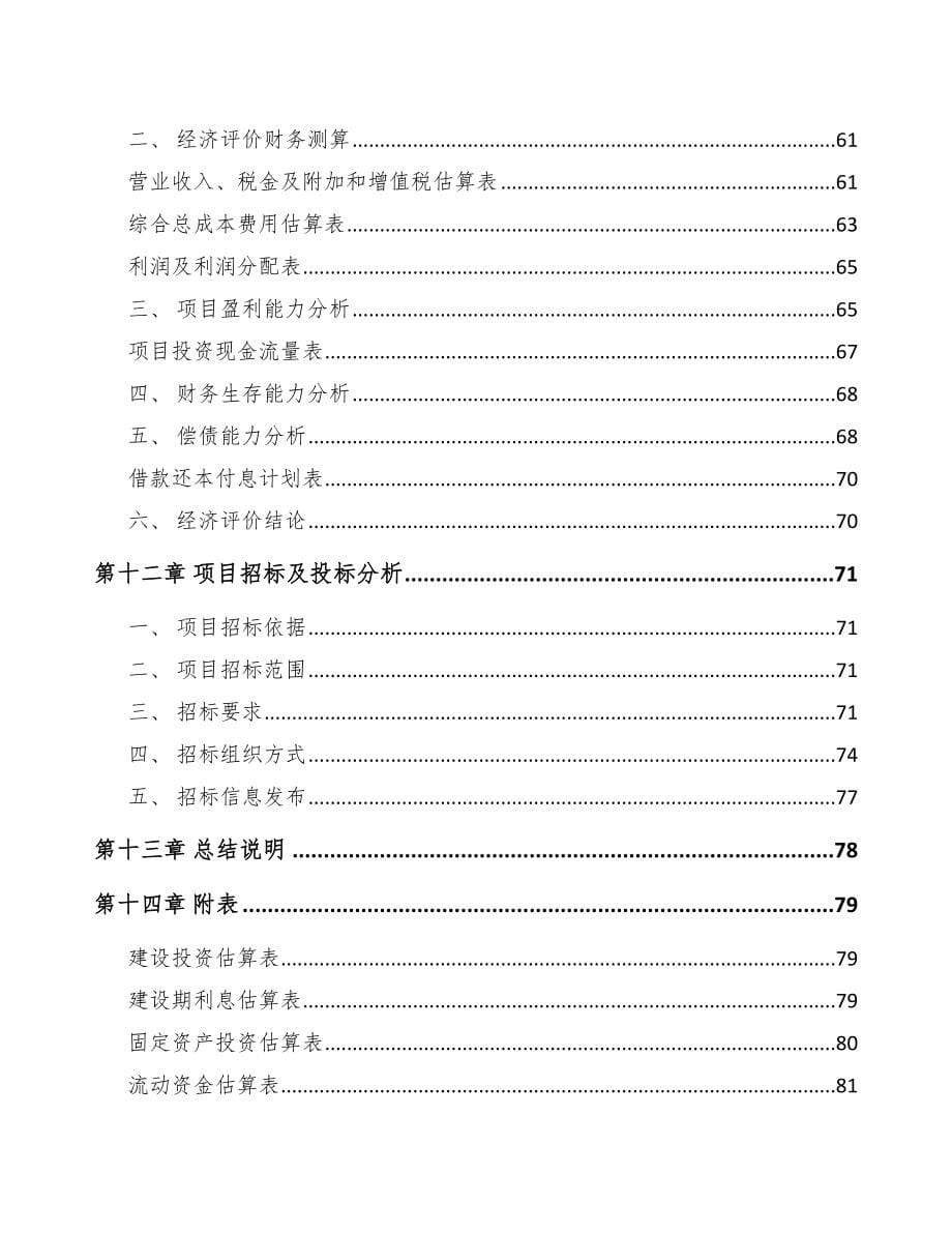 榆林数码配套产品项目可行性研究报告_第5页