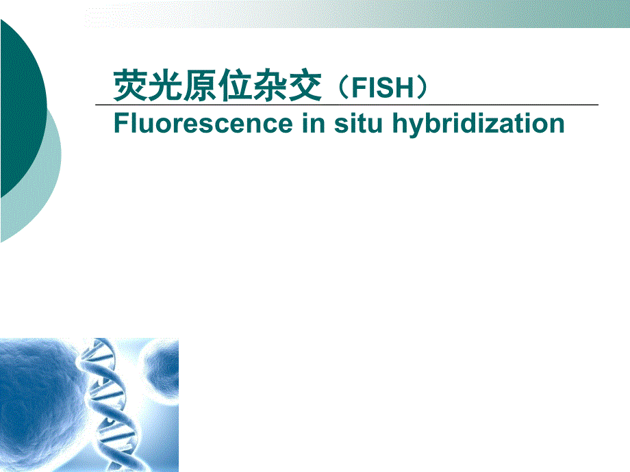 FISH杂交技术_第1页