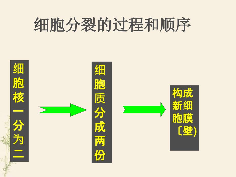 生物七年级上册第二单元第二章第二节动物体的结构层次ppt课件_第2页