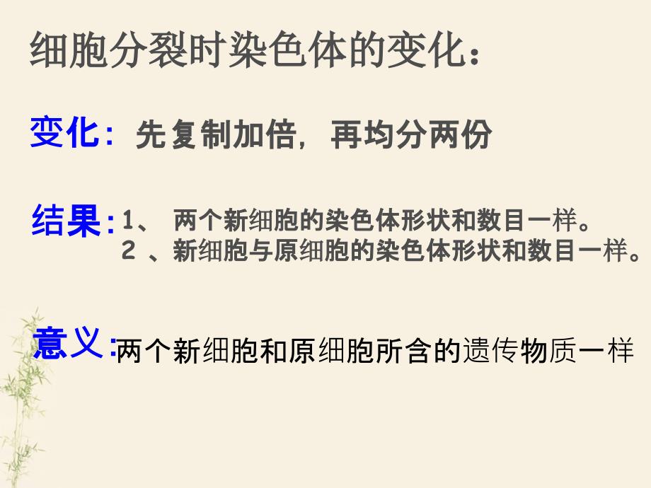 生物七年级上册第二单元第二章第二节动物体的结构层次ppt课件_第3页