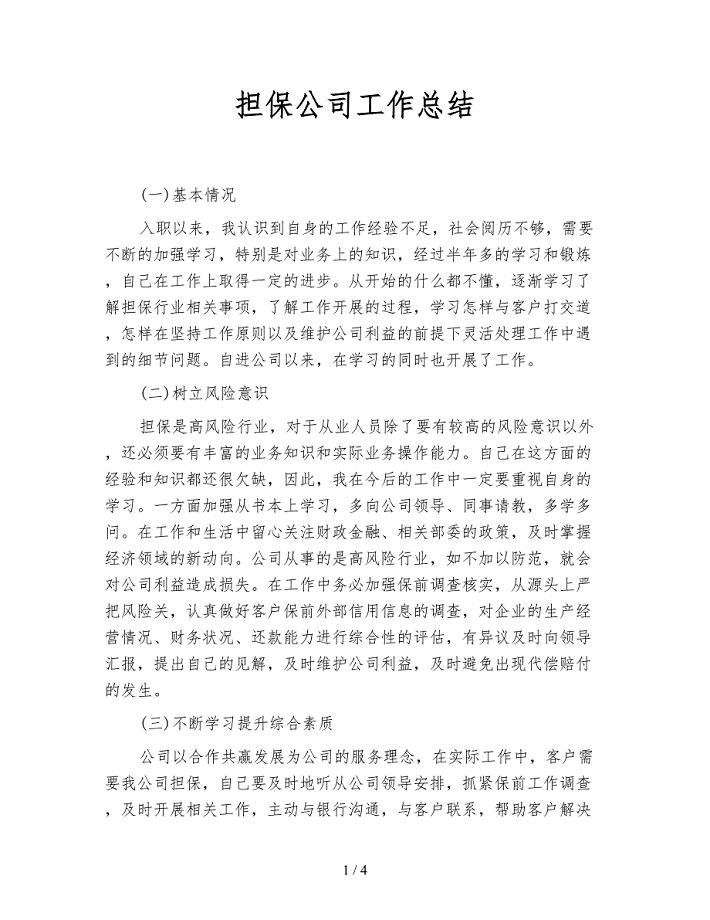 担保公司工作总结.doc