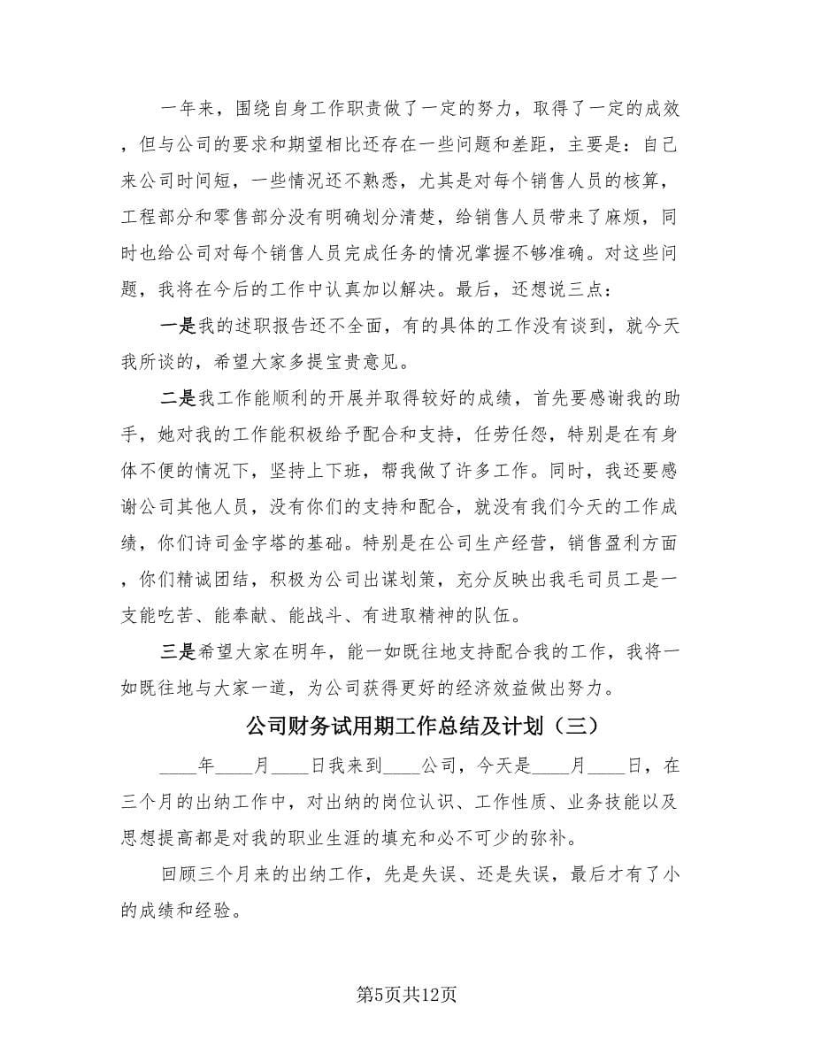 公司财务试用期工作总结及计划（四篇）.doc_第5页