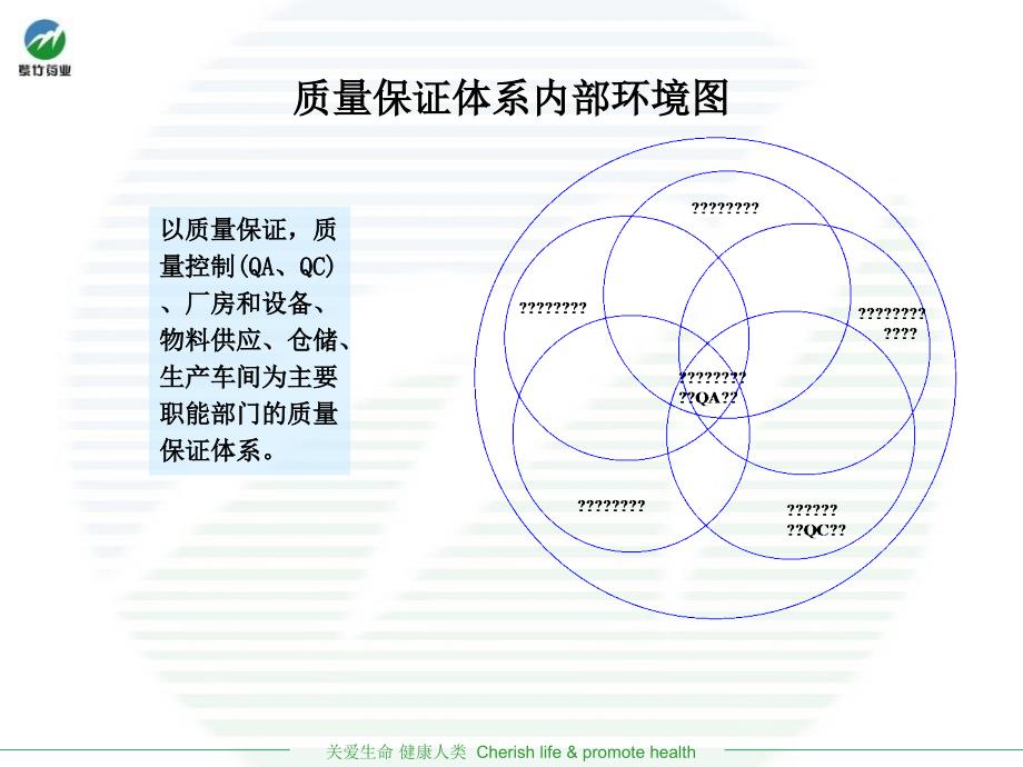 质量管理体系的建设和实施张志军_第4页