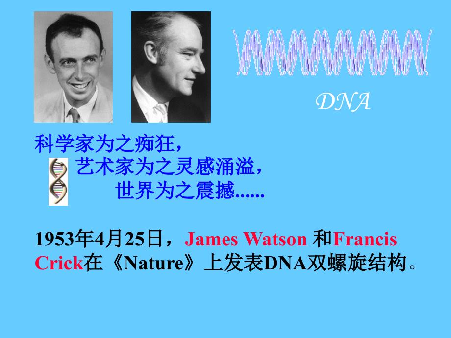 基因工程生物安全课件_第4页