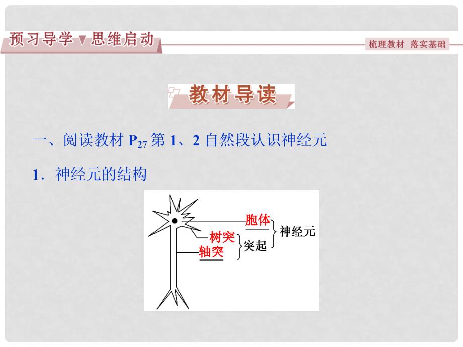 优化方案高中生物 第二章 生物个体的稳态 第二、三节 人体生命活动的调节、动物生命活动的调节（一）兴奋的传导过程课件 苏教版必修3_第3页