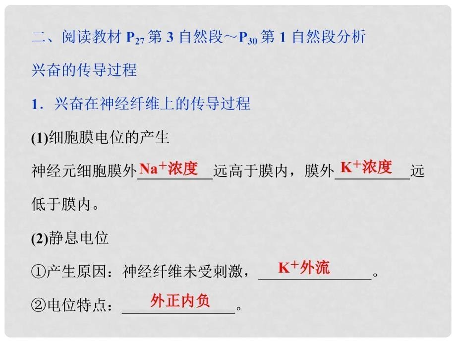 优化方案高中生物 第二章 生物个体的稳态 第二、三节 人体生命活动的调节、动物生命活动的调节（一）兴奋的传导过程课件 苏教版必修3_第5页