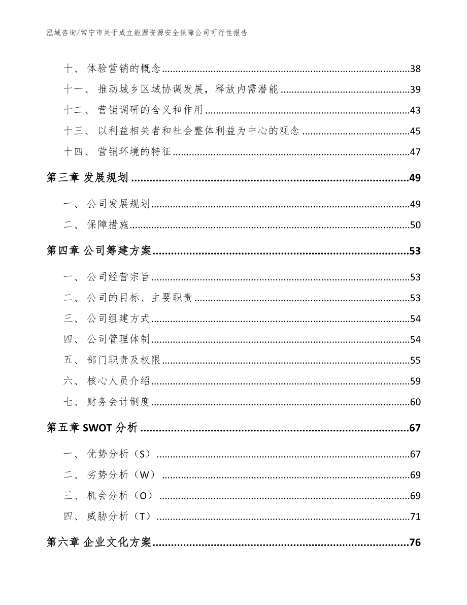 常宁市关于成立能源资源安全保障公司可行性报告模板_第3页