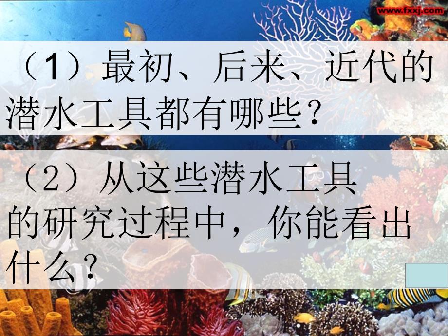 探索海底世界课件1_第4页