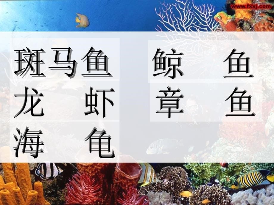 探索海底世界课件1_第5页