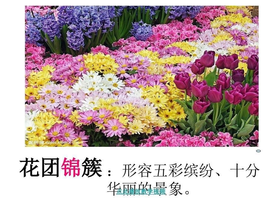 《自己的花》课件_第5页