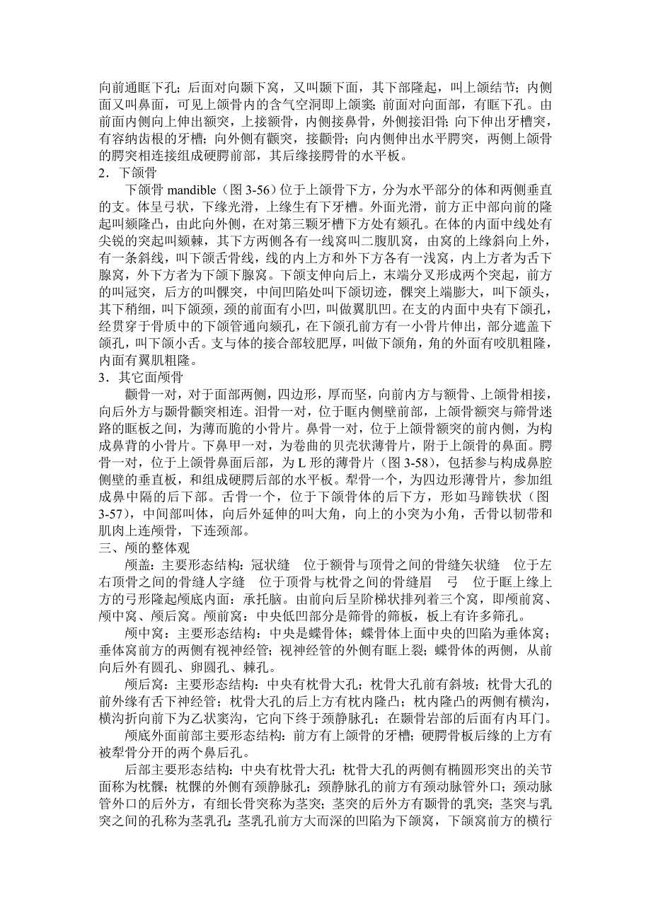 人体解剖与组织胚胎学第二篇重点难点导学资料(裴凌云).doc_第3页