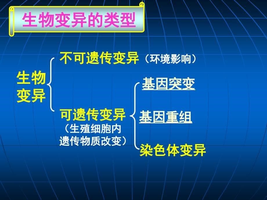 必修2第四章第四节基因突变和基因重组课时1课件_第5页