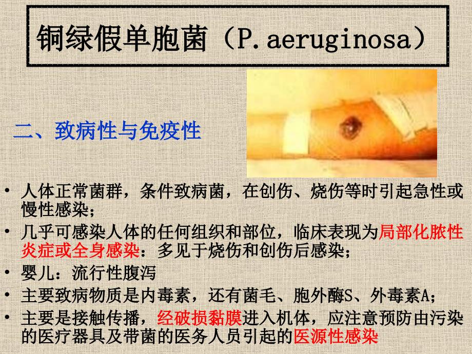 医学微生物学：18-其他细菌_第4页