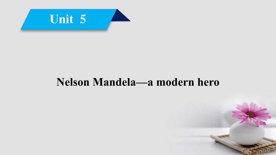 2017-2018学年高中英语 Unit 5 Nelson Mandela a modern hero单元整合课件 新人教版必修1_第2页