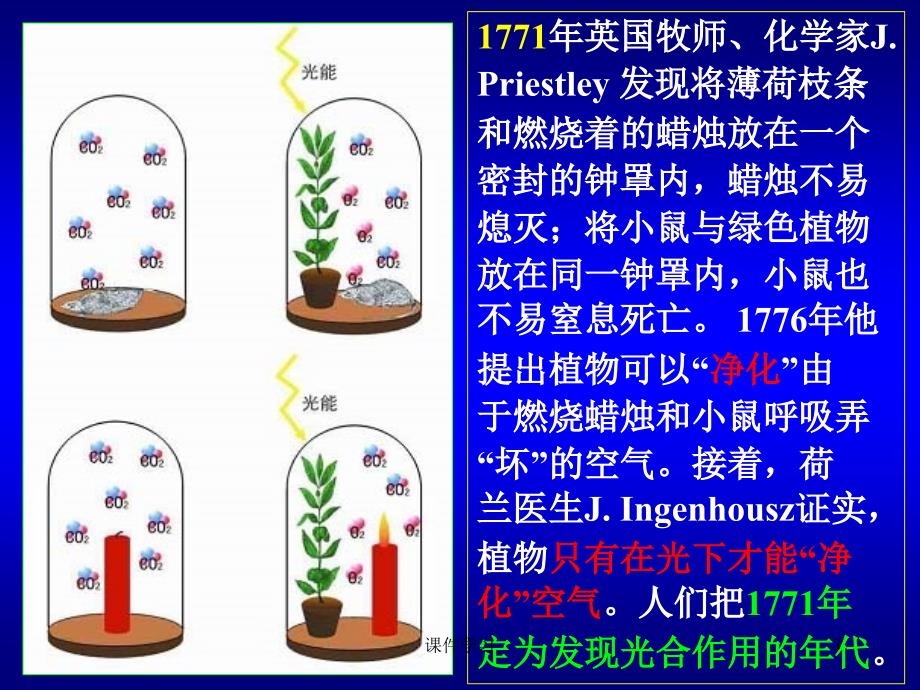 复旦大学生化课件-光合作用#教学课件_第3页