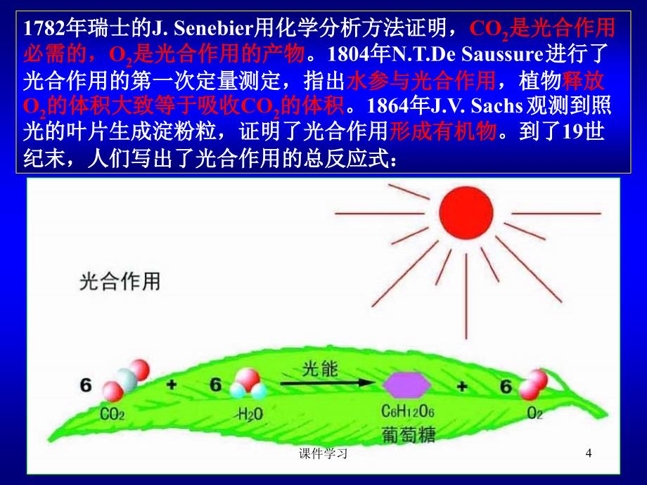 复旦大学生化课件-光合作用#教学课件_第4页