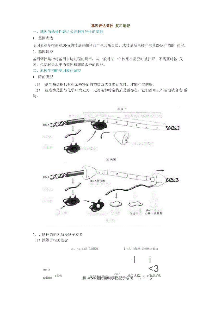 基因表达调控复习笔记_第1页