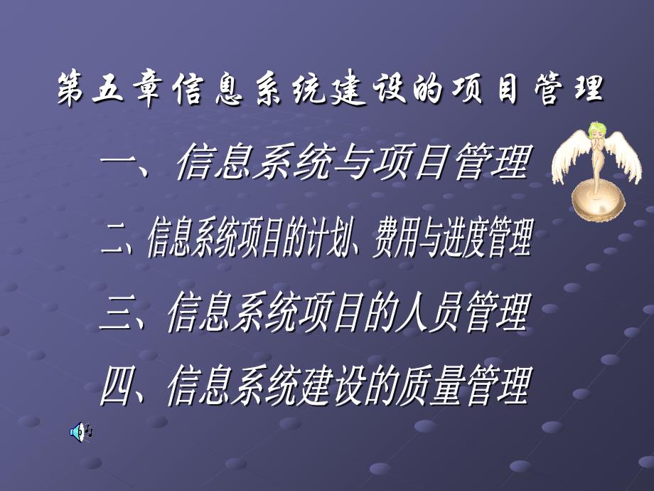 信息系统建设项目管理实务_第1页