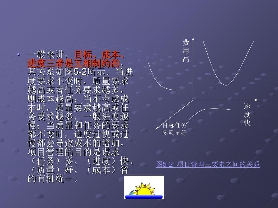 信息系统建设项目管理实务_第5页