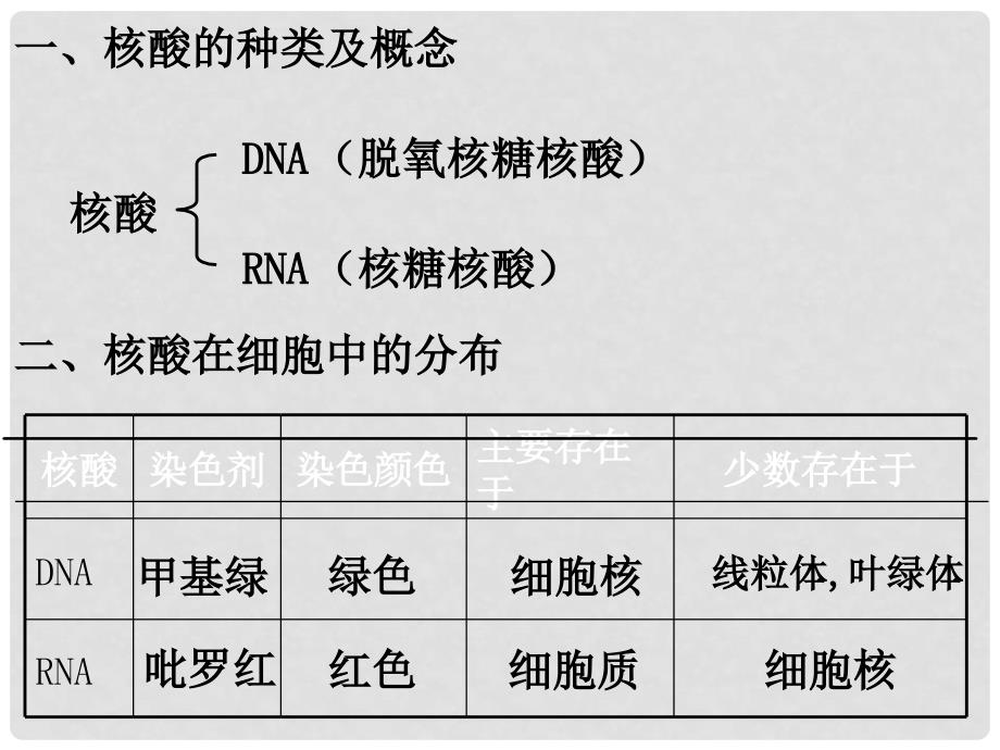 高中生物 2.3 遗传信息的携带者 核酸1课件 新人教版必修1_第4页