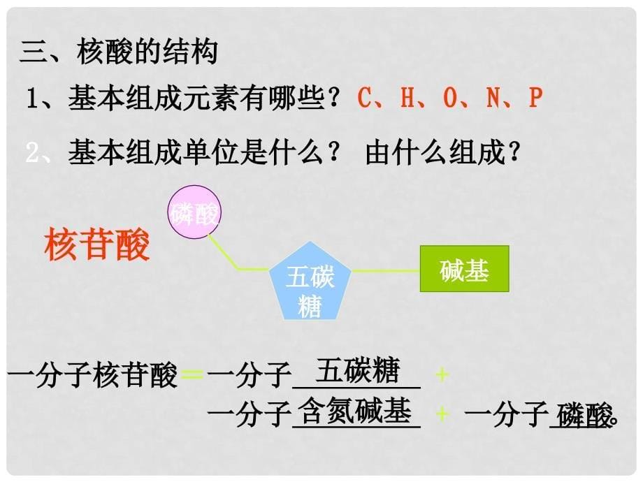 高中生物 2.3 遗传信息的携带者 核酸1课件 新人教版必修1_第5页