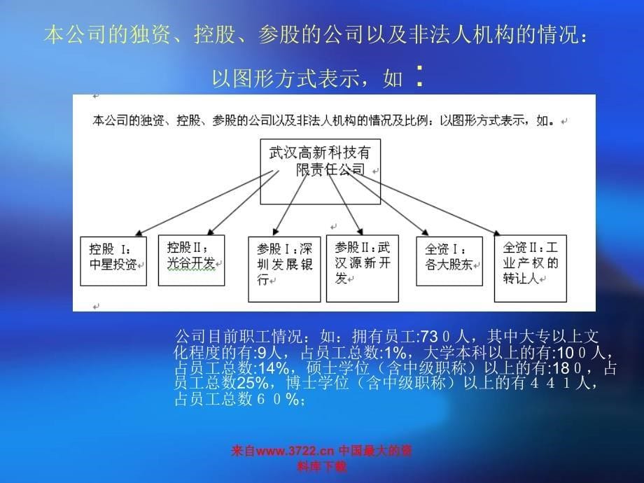 【计划书】武汉有限公司_第5页