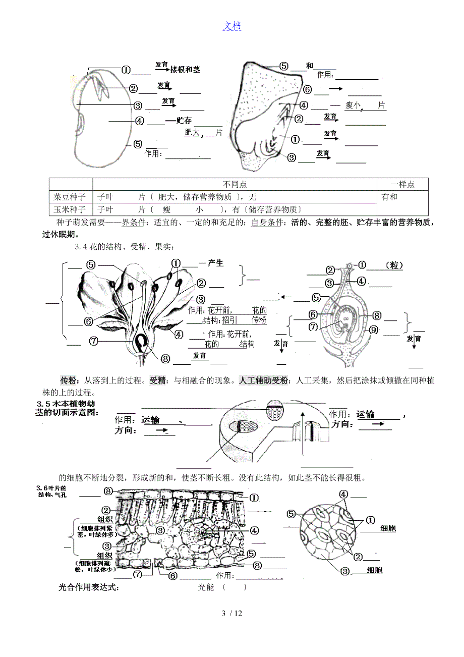 初中生物中学考试重要图归纳_第3页