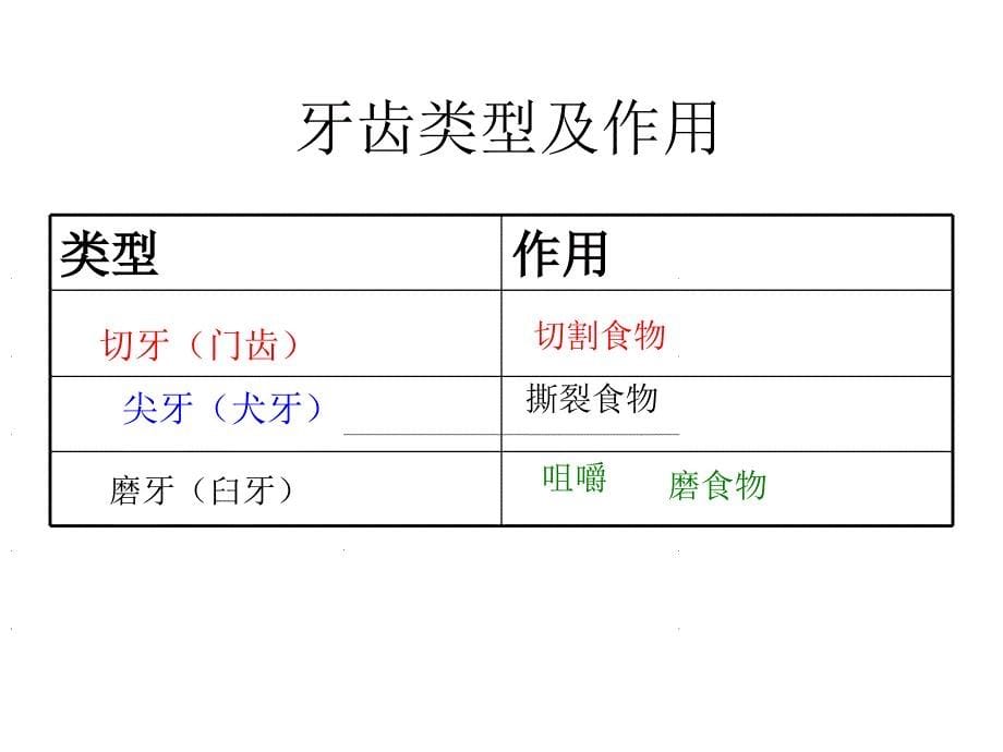 第4章代谢与平衡复习_第5页