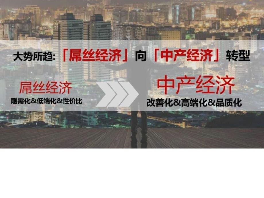 青浦新城盛誉世家项目营销策划报告(提报稿)图文.ppt_第5页