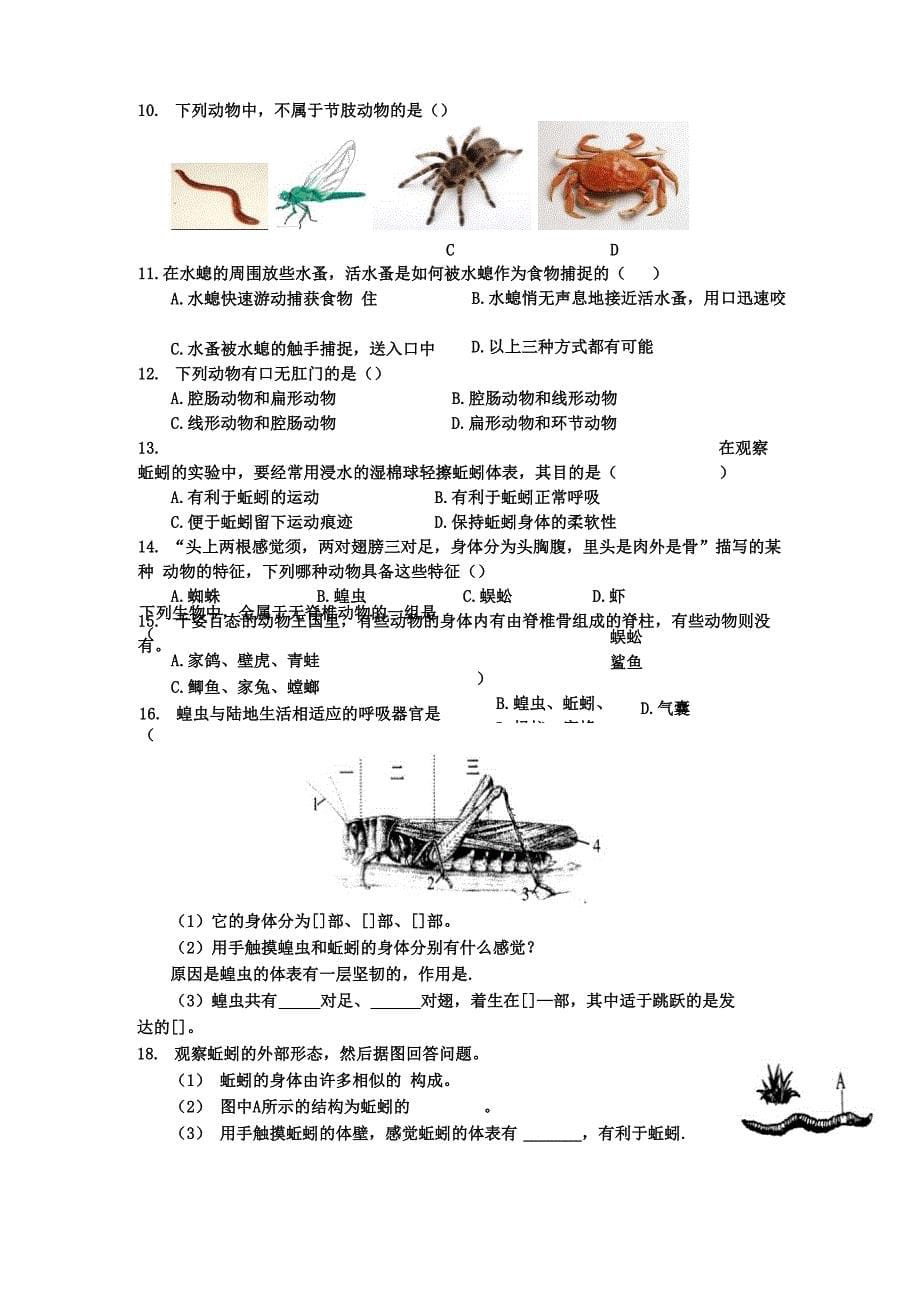 无脊椎动物的主要类群1_第5页