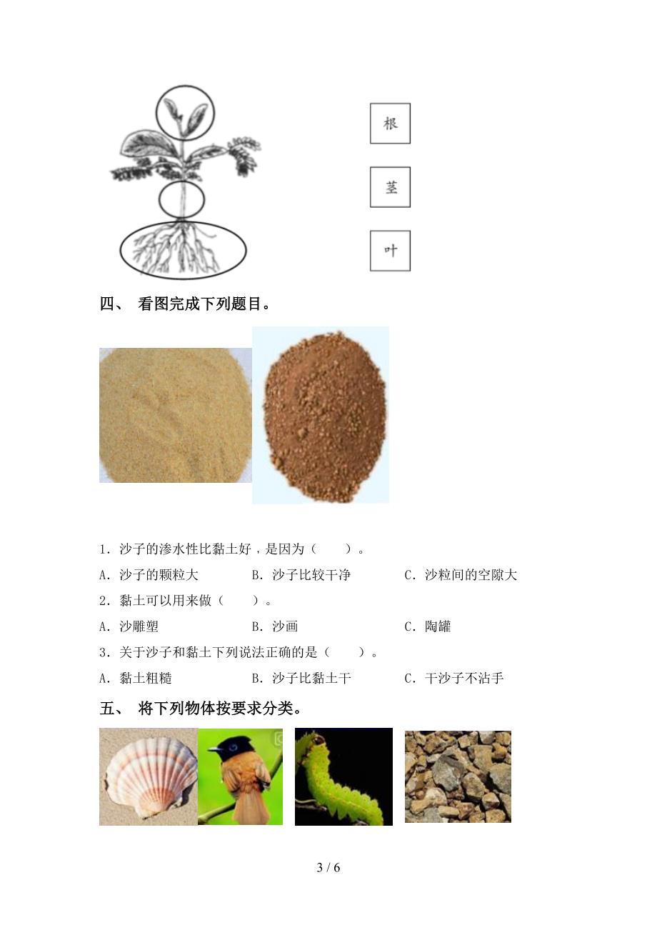 最新教科版一年级科学上册期中考试卷(学生专用).doc_第3页