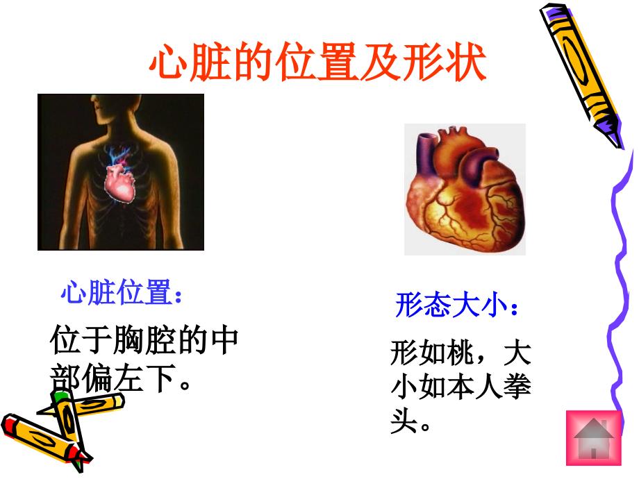 44运动起来会怎样(二)PPT_第4页