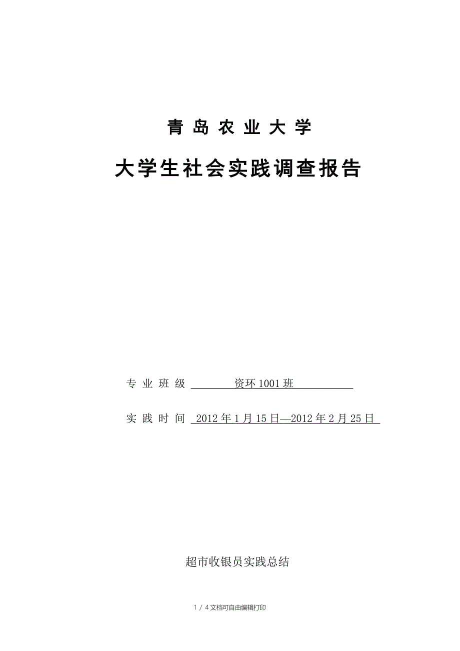 超市收银员个人工作总结_第1页