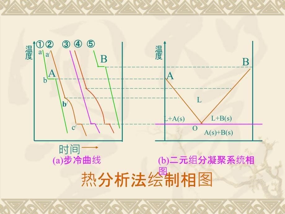 nSn金图的绘制PPT课件_第5页