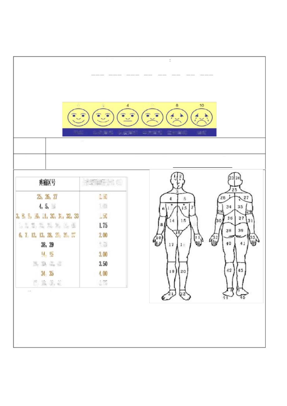 疼痛评估表正式版_第5页