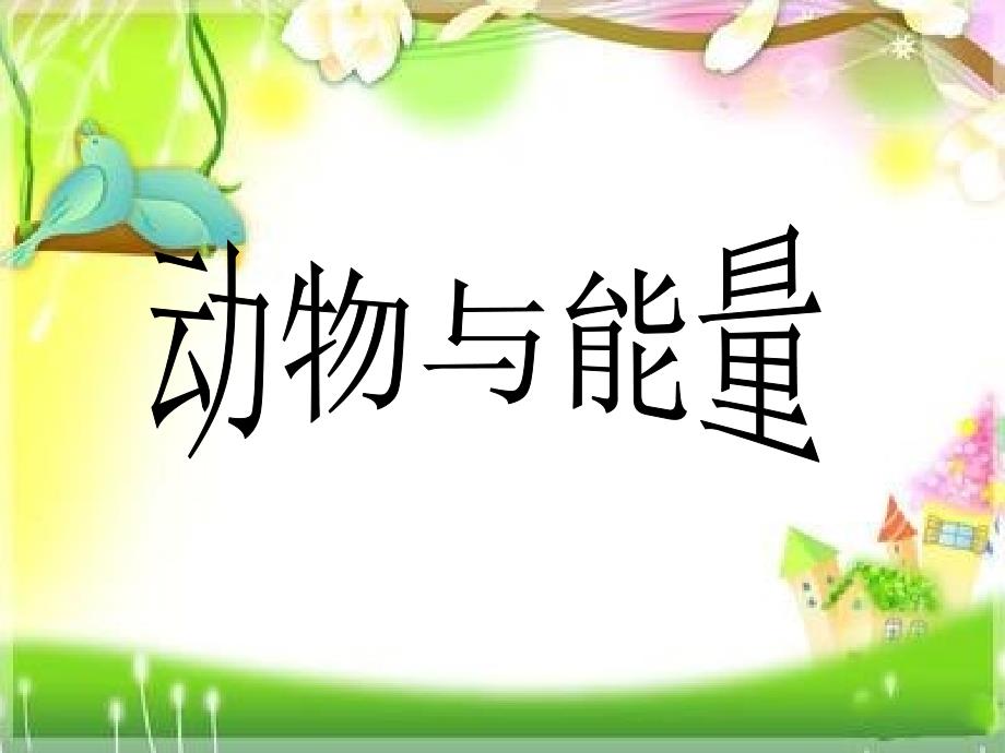 六年级上册科学课件10动物与能量冀教版共13张PPT_第1页