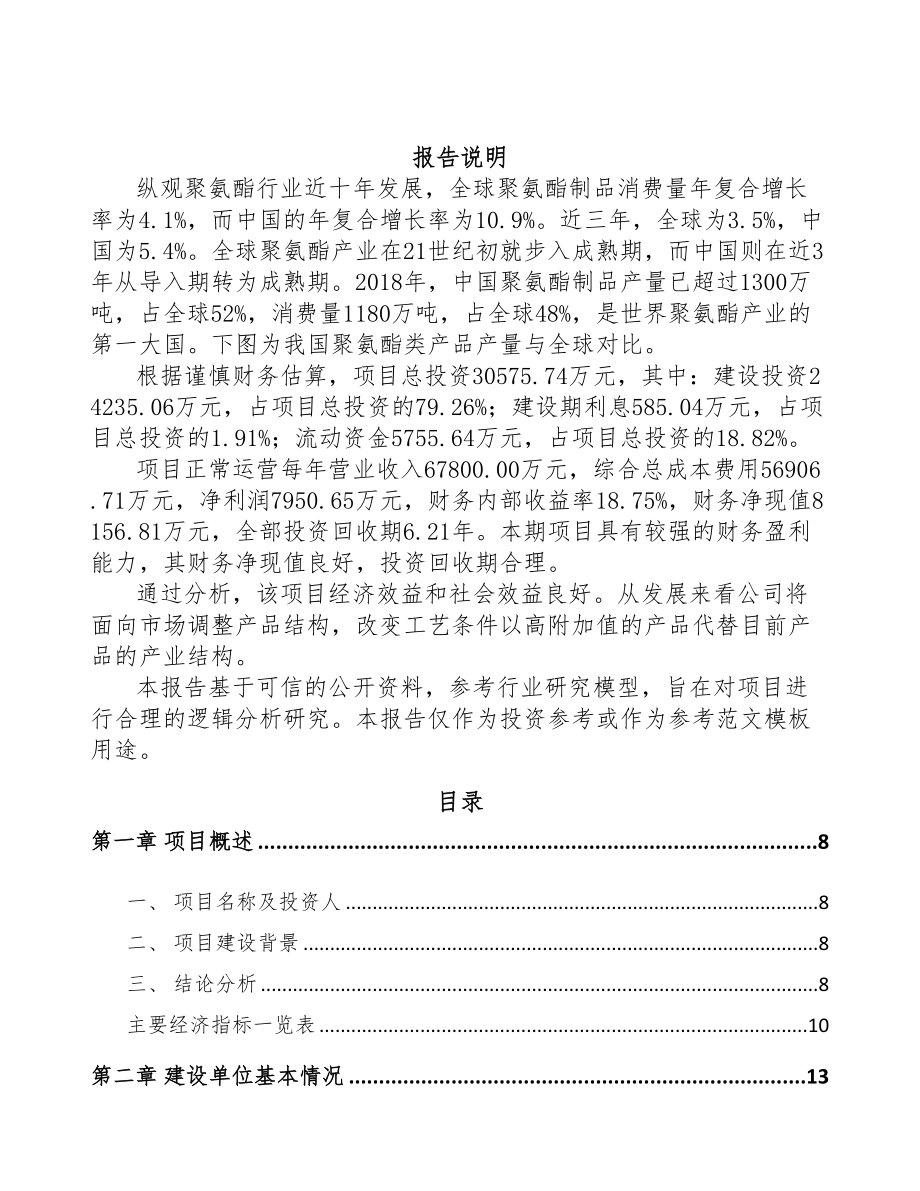 年产xxx吨塑料粒子项目建议书(DOC 76页)_第2页